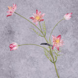 A faux protea stem, with 5 flowers in a pink-white colour, over several branchlets