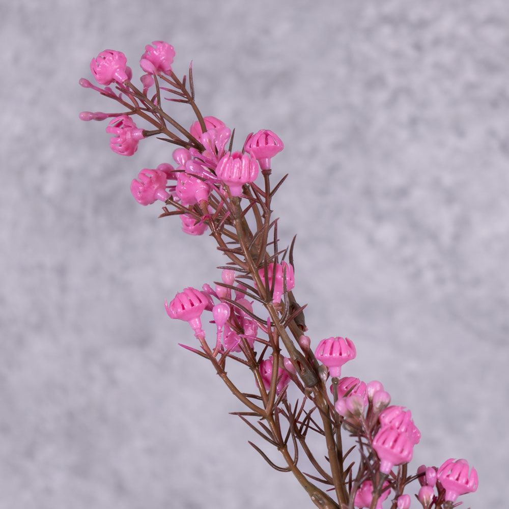 A close up of a faux gypsophila stem in pink
