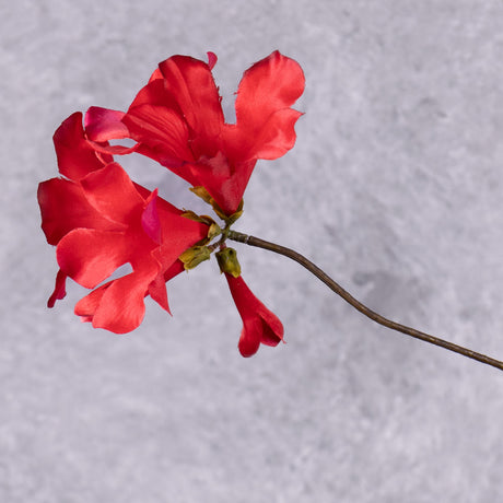 A close up of a faux Mandevilla flower in a bright red colour