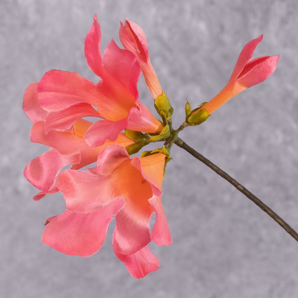 Mandevilla (Silkka), Artificial, Pink, 114cm Atlas Flowers