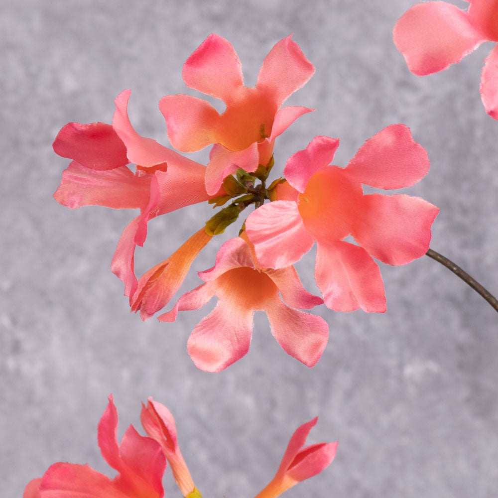 Mandevilla (Silkka), Artificial, Pink, 114cm Atlas Flowers