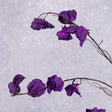 Sweet Pea Spray (Lathyrus) (Silk-ka) Purple 117cm