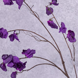 Sweet Pea Spray (Lathyrus) (Silk-ka) Purple 117cm