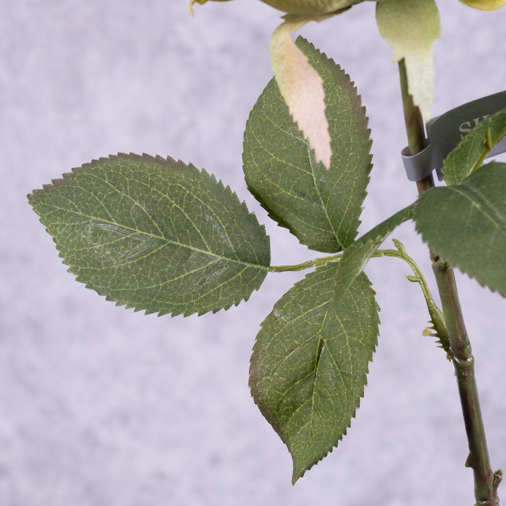 Rose Stem (Silk-ka), Lilac/Green, 66cm