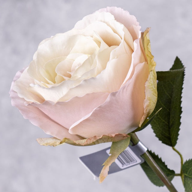 Rose Stem (Silk-ka), Light Pink, 66cm