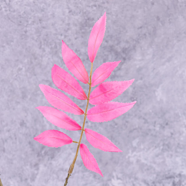 Leaf Spray Stem (Silk-ka) Pink 103cm