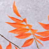 Leaf Spray Stem (Silk-ka) Orange 103cm