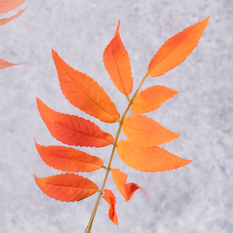 Leaf Spray Stem (Silk-ka) Orange 103cm