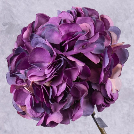 Hydrangea Stem, (Silk-ka), Purple, 64cm