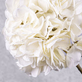 Hydrangea Stem, (Silk-ka), White, 64cm
