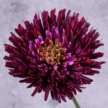 Chrysanthemum Stem (Silk-ka), Burgundy, 81cm