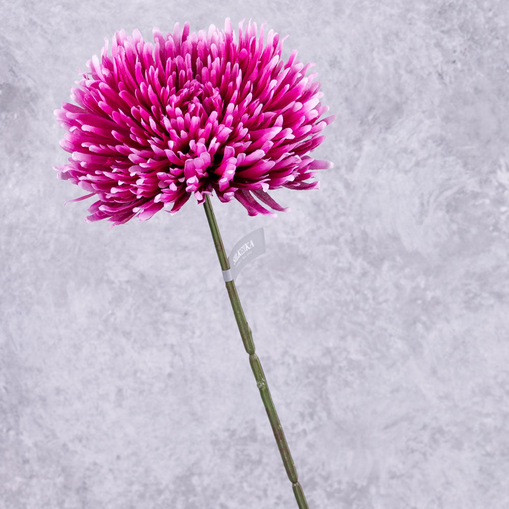 Chrysanthemum Stem (Silk-ka), Beauty, 81cm