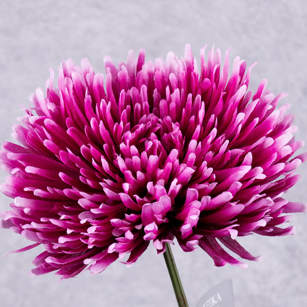 Chrysanthemum Stem (Silk-ka), Beauty, 81cm