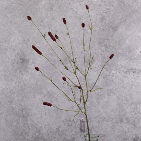 Sanguisorba spray, burgundy, 84cm