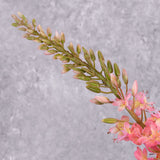 A close up shot of a faux foxtail lily with warm pink flowers showing the top detail
