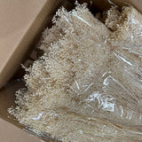 Bunches of bleached white gypsophila in celophane wraps, laid in a cardboard box
