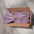 Broom Bloom, Lilac Misty, Full Box 30 Bunches