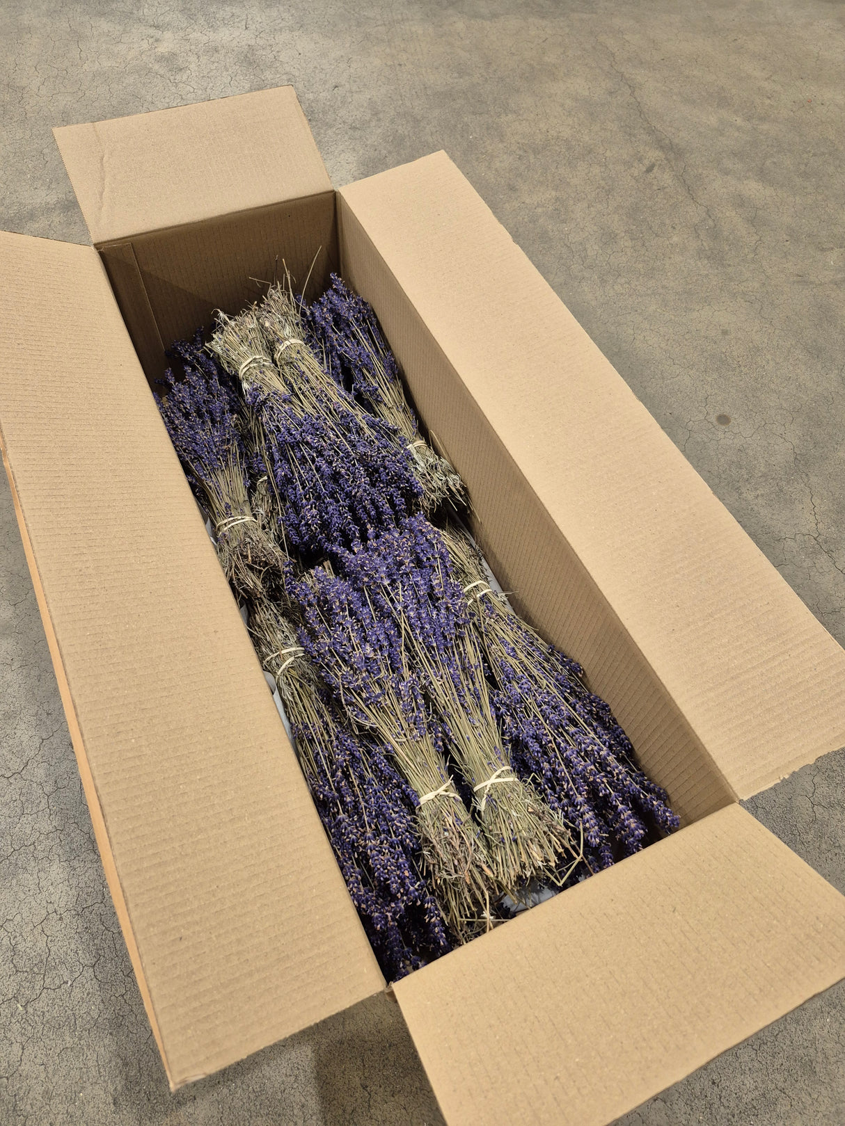 Lavender, Dried, Natural Dark Blue, Full box x 20 Bunches