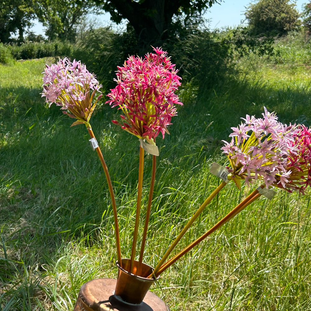 A copper vessel containing several allium stems in a light, and a deeper pink, against a sunny meadow