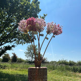 A copper vessel containing several allium stems in a light, and a deeper pink, against a sunny meadow