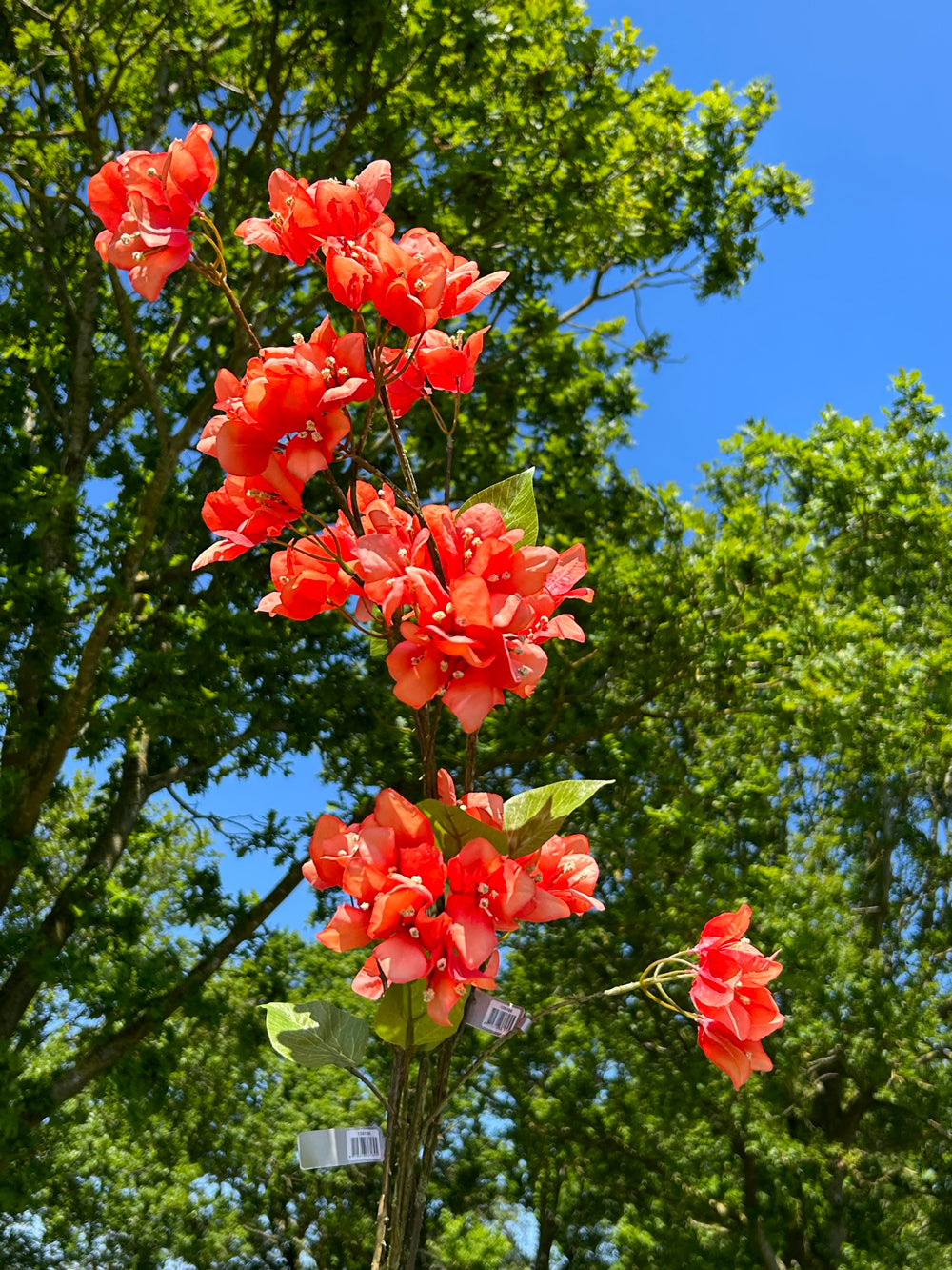 Faux bouganvillea sprays in a coral pink colour displayed in the sunshine with a tree in the background