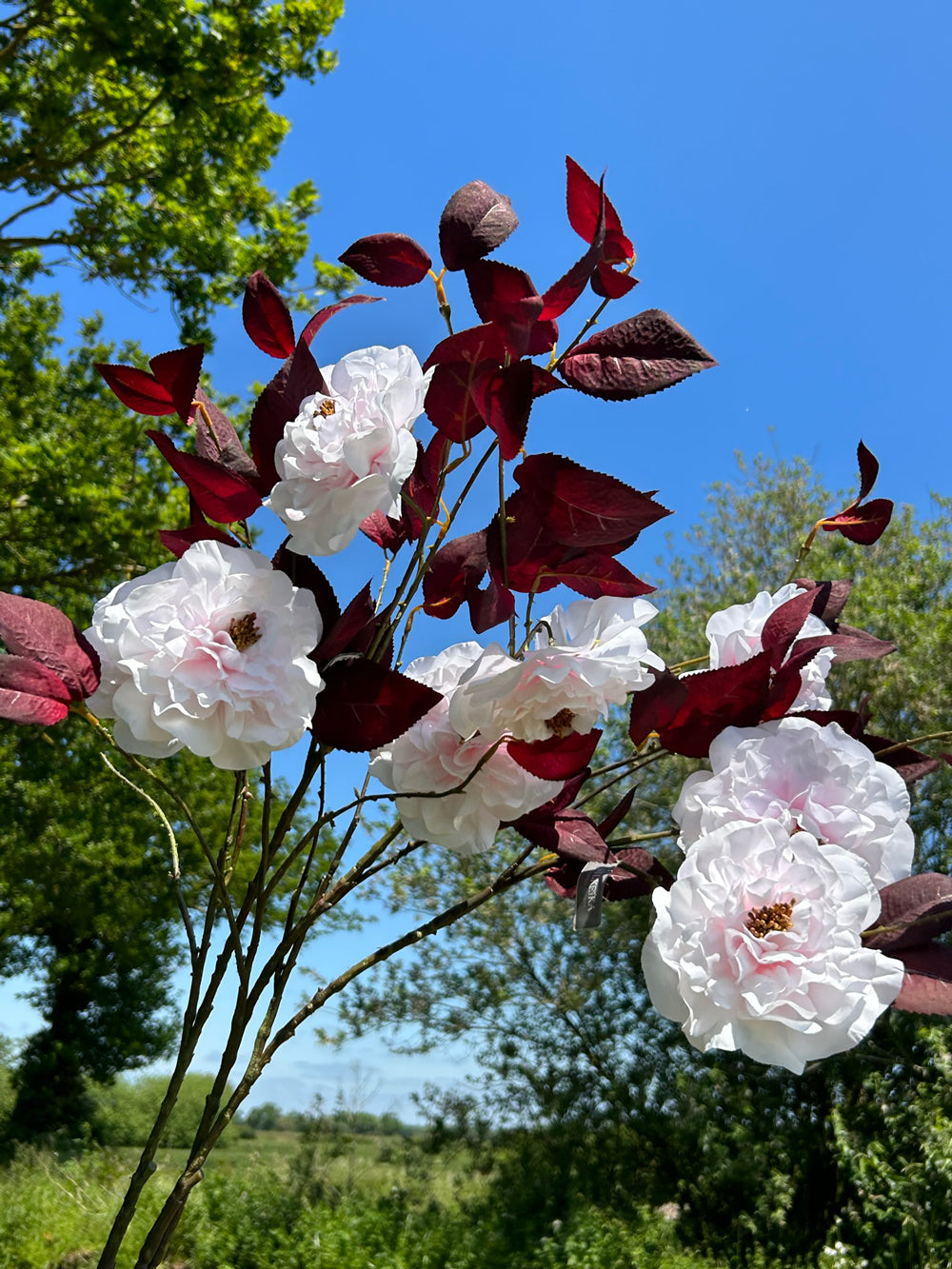 A group of faux Camellia sprays shown against a bright blue sky and lush green trees