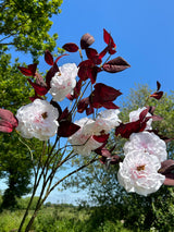 A group of faux Camellia sprays shown against a bright blue sky and lush green trees