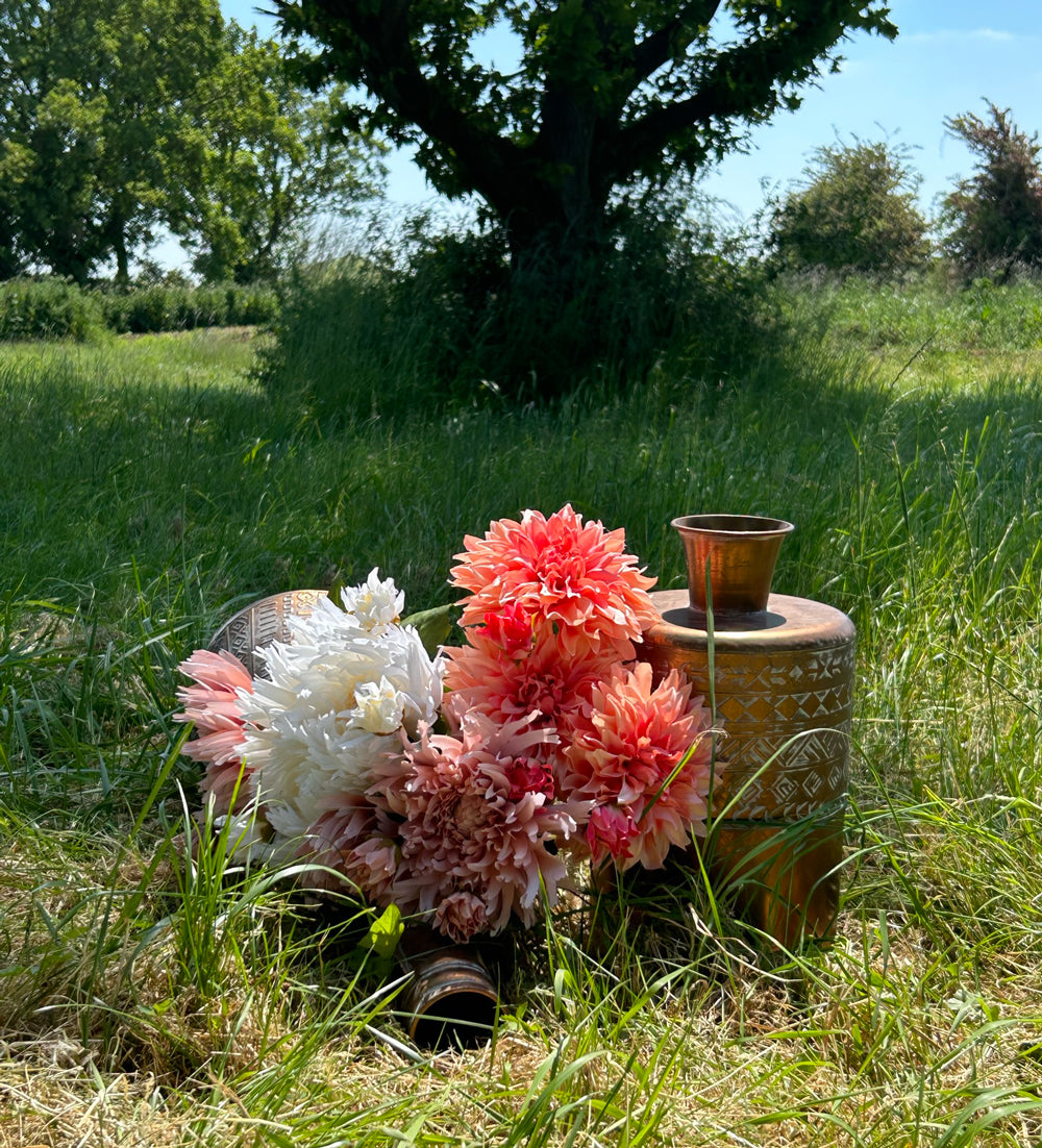 pink, and white Chrysanthemums and dark pink dahlias laying in the sunshine in a meadow