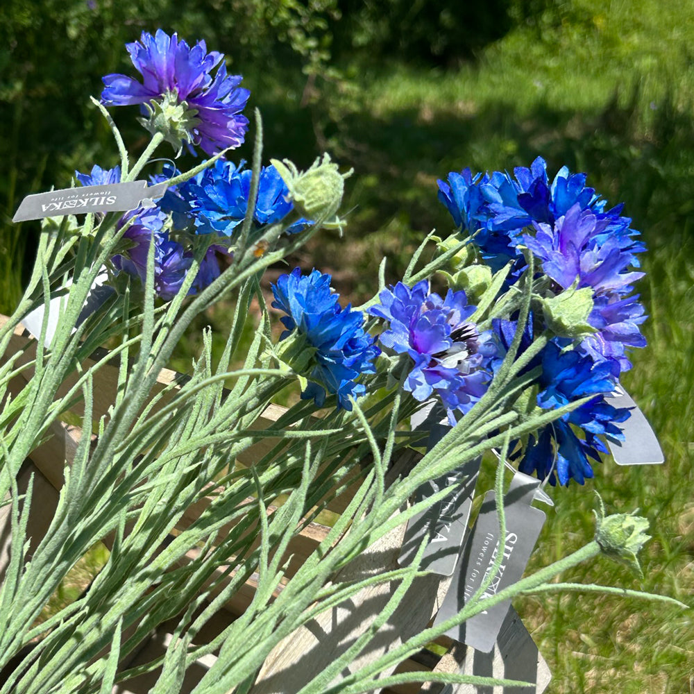 A mix of light and dark blue, faux cornflowers in a wooden crate, displayed in a sunny meadow