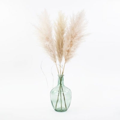 Dried Pampas Grass in a vase