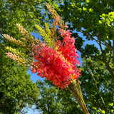 A group of different coloured faux foxtail lilies, against a sunny meadow scene.