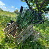 A wooden crate displaying both green, and black, palm frond sprays, against the backdrop of a blue sky and sunny meadow