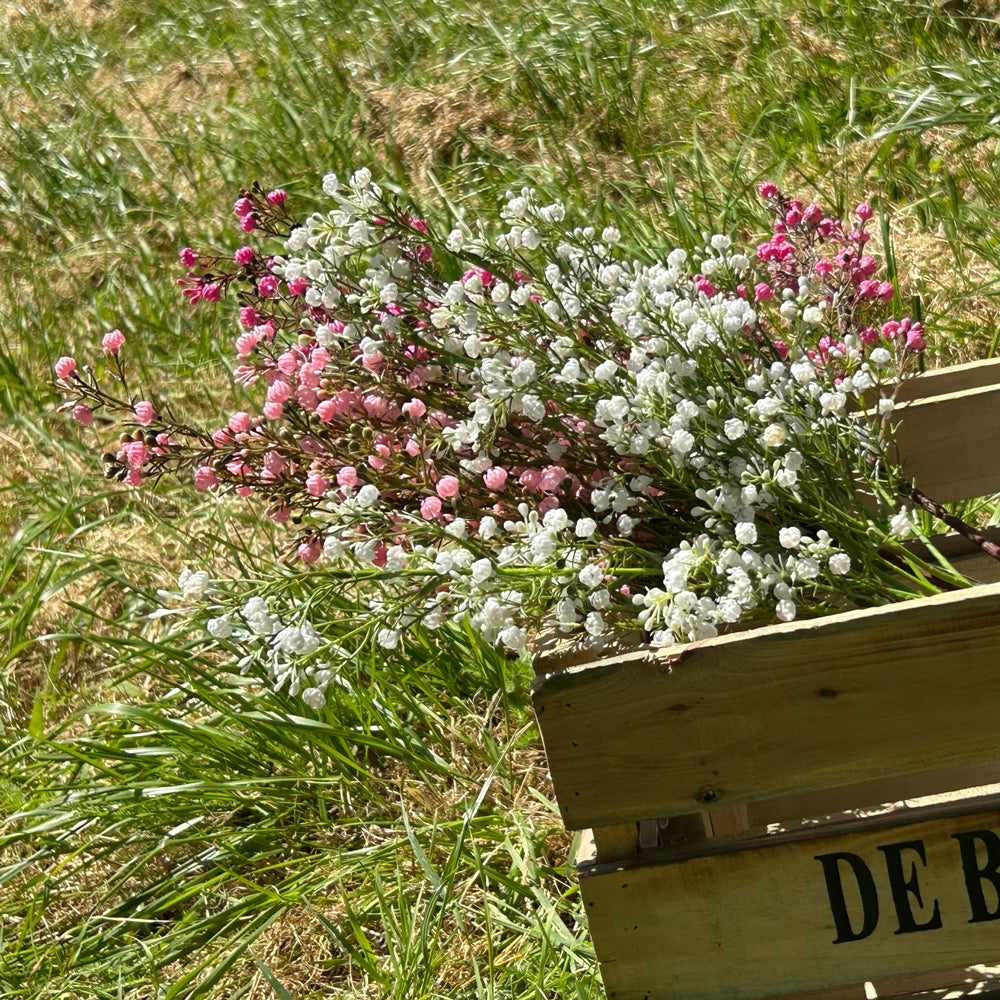 Pink and white faux gypsophila bunches shown in a wooden crate within a sunny meadow