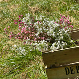 Faux pink and white gypsophila in a wooden crate, displayed outside on a bright sunny day!