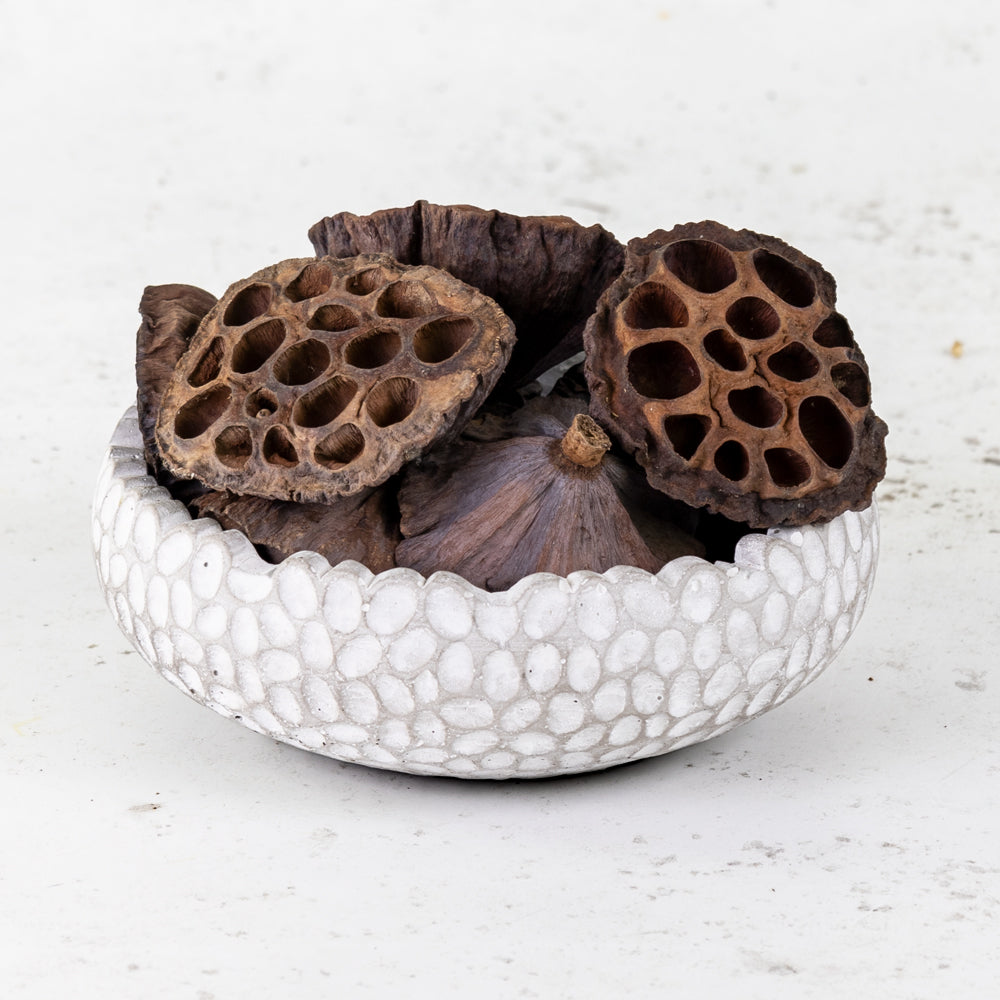 A stone bowl that contains dried lotus seed pods.