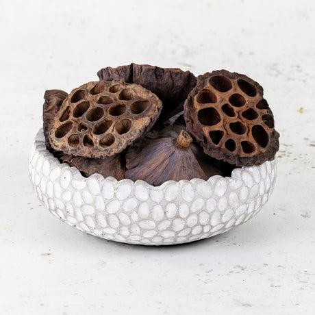 A stone bowl that contains dried lotus seed pods.