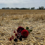 A group of artificial flowers by Silk-ka in rich red colours, set against a stubble field, and cloudy skies.