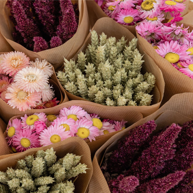 a selection of ready to retail dried bouquets