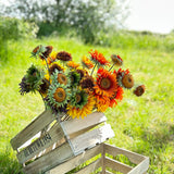A group of different coloured, sized, and shaped faux sunflowers, displayed in a meadow against a bright, sunny sky