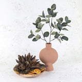 Terracotta coloured vase with eucalyptus stems and other decorative items.