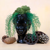 Air Fern, Preserved, Dark Green, Bunch, UK