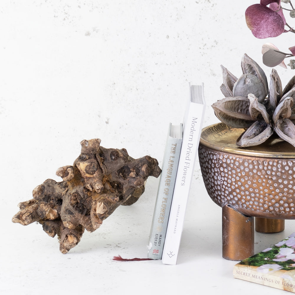 A collection of decorative items including a piece of Kuwa root wood, books, a copper bowl and a sororocca flower.