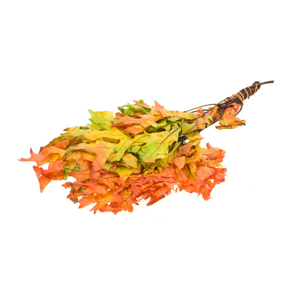 Pre Order Scarlet Oak leaf preserved autumn leaves green, box x 12