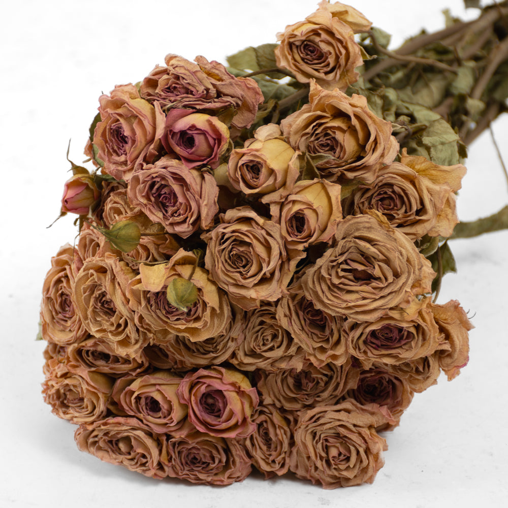 spray roses bouquet