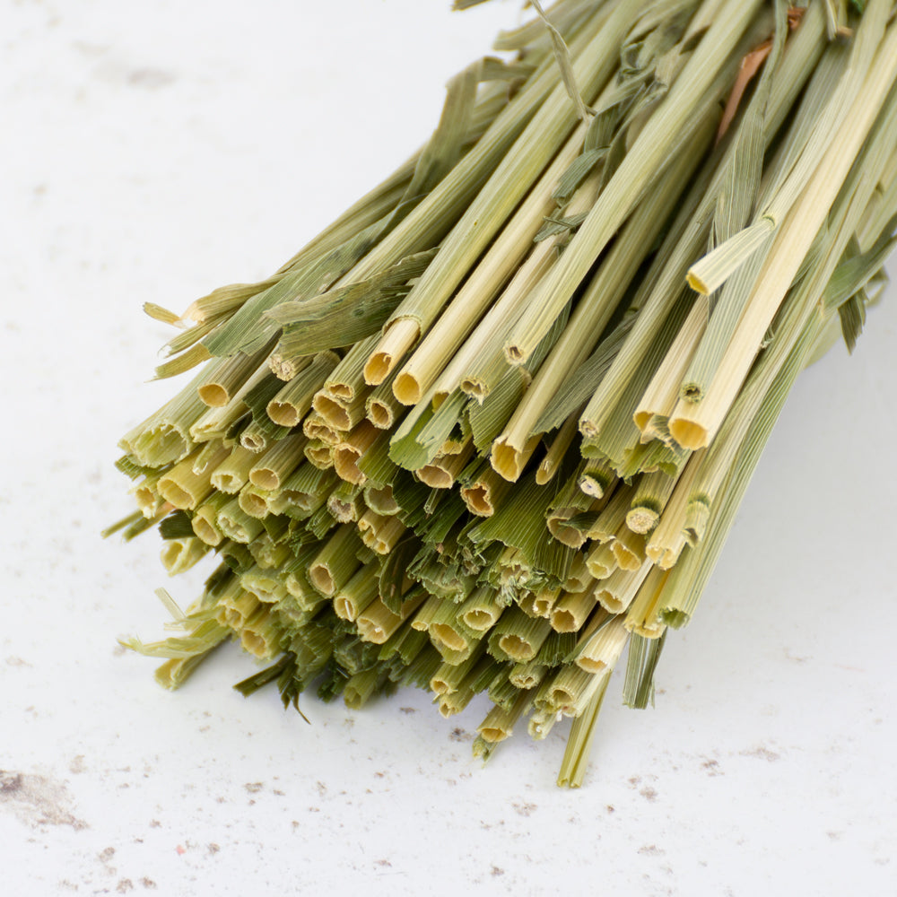 Oats, (Avena), Dried, Moss Green
