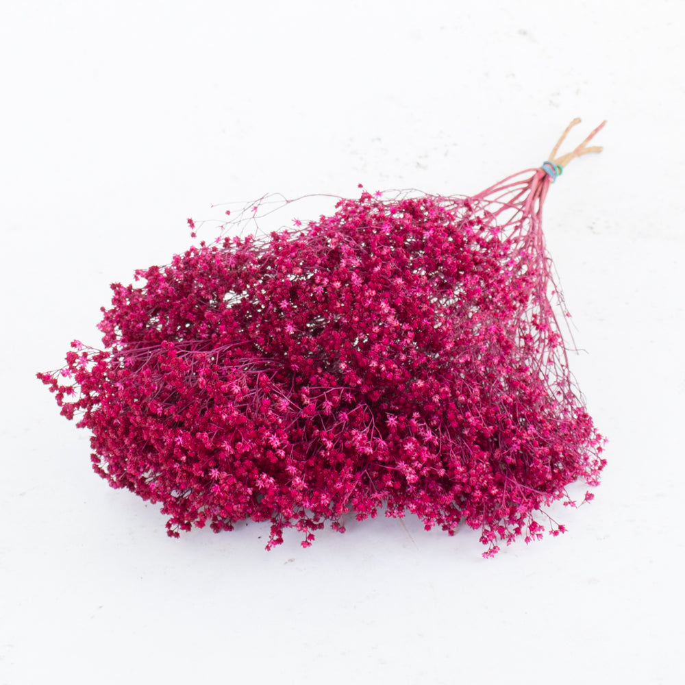 Cerise Gypsophila Bouquet