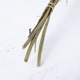 Limonium, Dried, Natural Light Pink, 60cm
