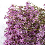 Limonium, Dried, Natural Light Pink, 60cm