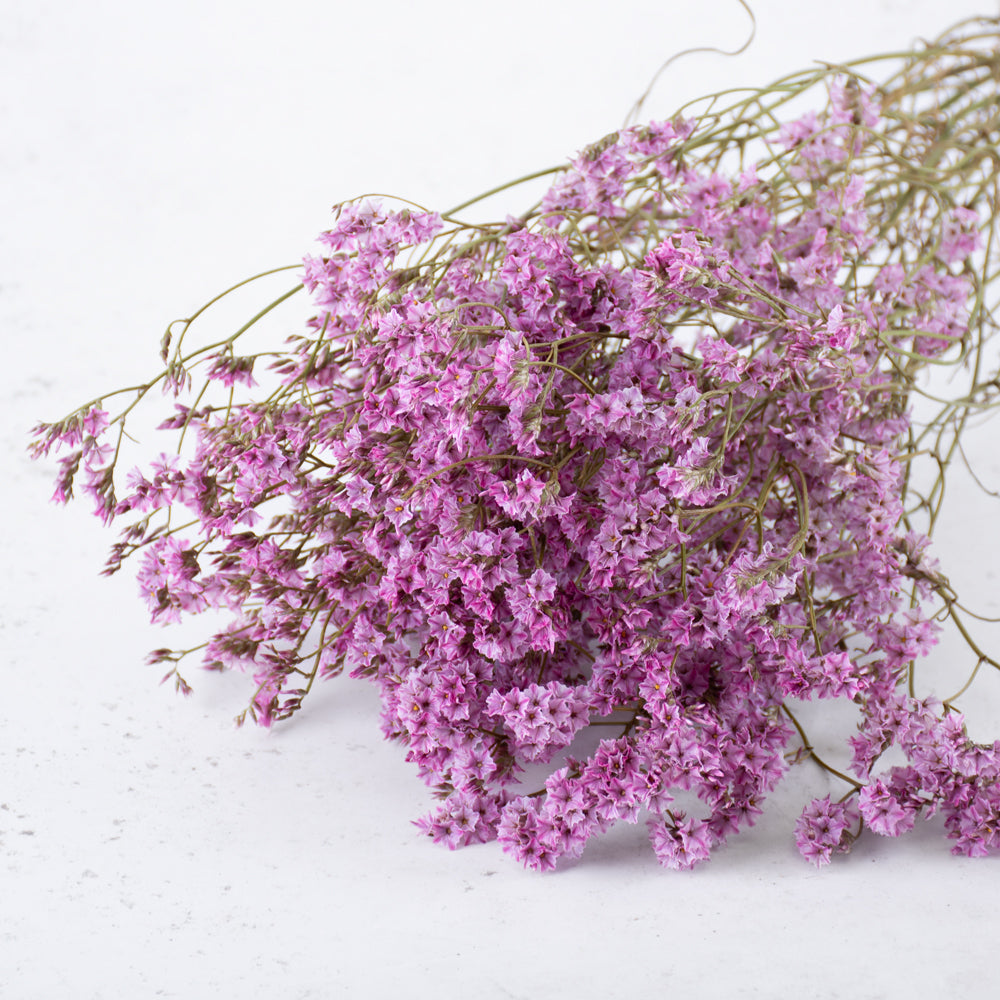 Limonium, Dried, Natural Light Pink, 60cm