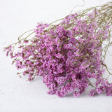 Limonium, Dried, Natural Light Pink, 60cm